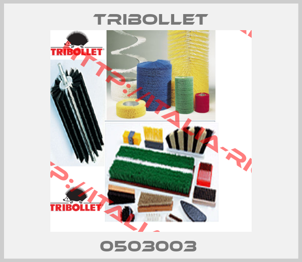 TRIBOLLET-0503003 