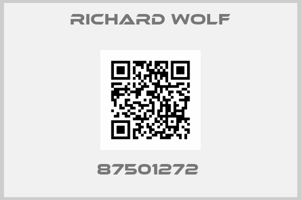 RICHARD WOLF-87501272 