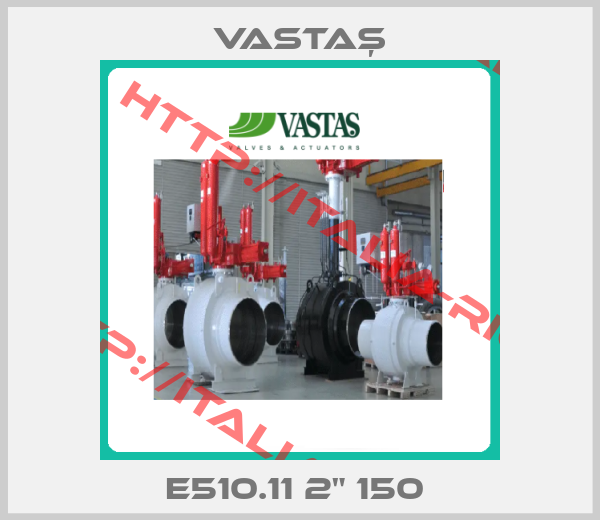 VASTAŞ-E510.11 2" 150 