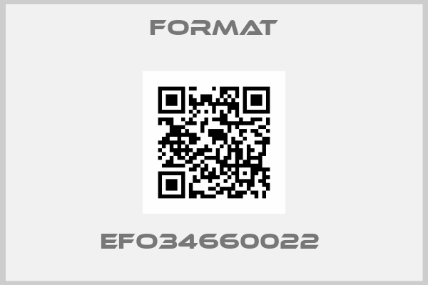 Format-EFO34660022 