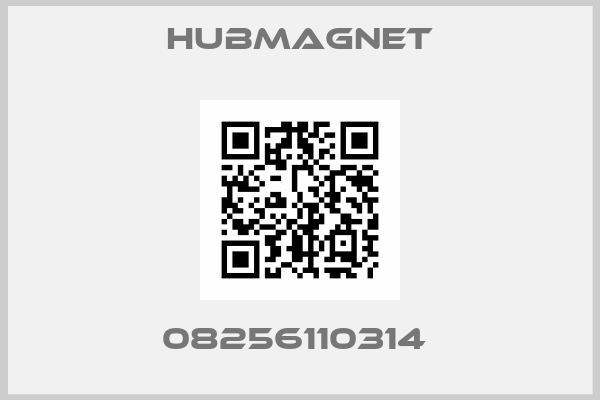 Hubmagnet-08256110314 