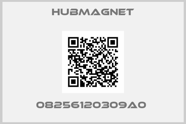 Hubmagnet- 08256120309A0 