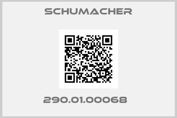 Schumacher-290.01.00068  