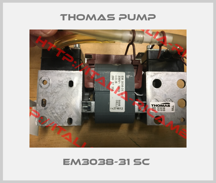 Thomas Pump-EM3038-31 SC 
