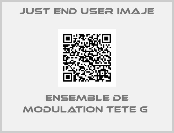 just end user Imaje-ENSEMBLE DE MODULATION TETE G 