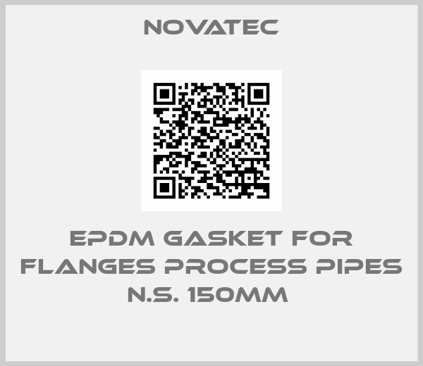 Novatec-EPDM GASKET FOR FLANGES PROCESS PIPES N.S. 150MM 