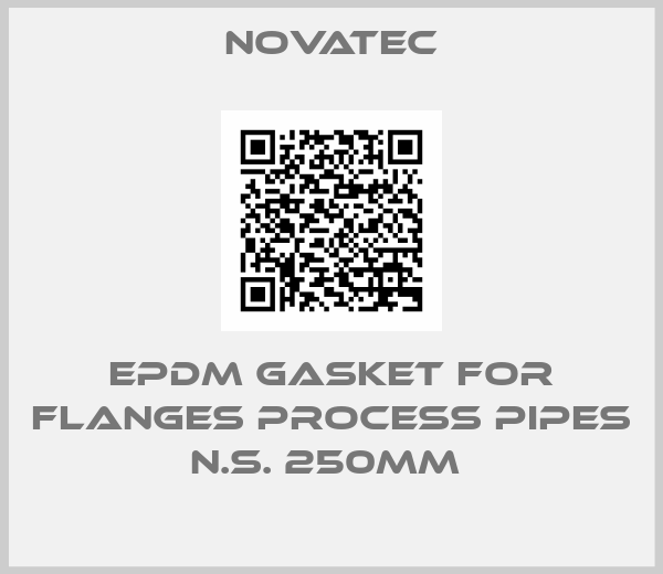 Novatec-EPDM GASKET FOR FLANGES PROCESS PIPES N.S. 250MM 