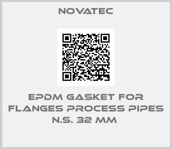 Novatec-EPDM GASKET FOR FLANGES PROCESS PIPES N.S. 32 MM 
