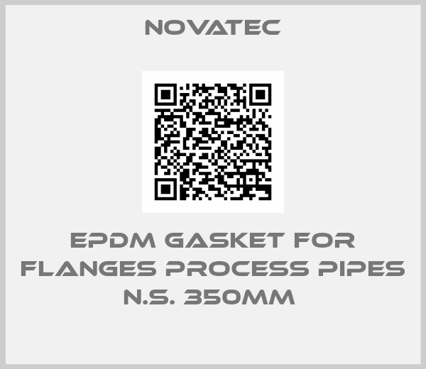 Novatec-EPDM GASKET FOR FLANGES PROCESS PIPES N.S. 350MM 