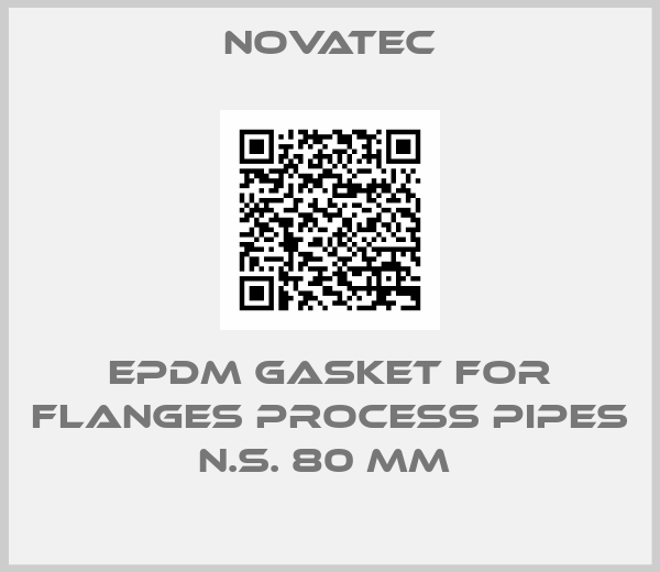 Novatec-EPDM GASKET FOR FLANGES PROCESS PIPES N.S. 80 MM 