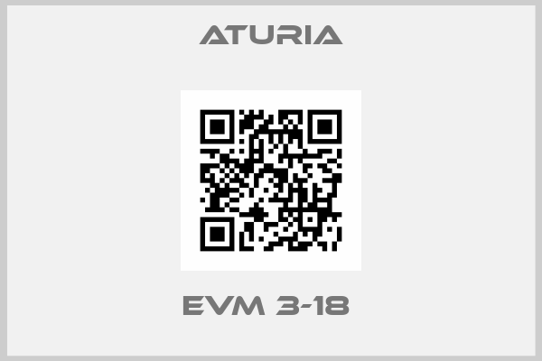 Aturia-EVM 3-18 