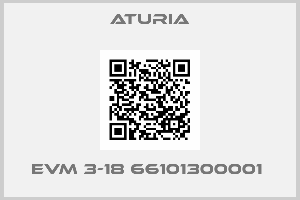 Aturia-EVM 3-18 66101300001 
