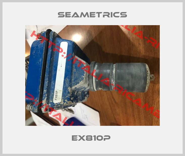 Seametrics-EX810P 