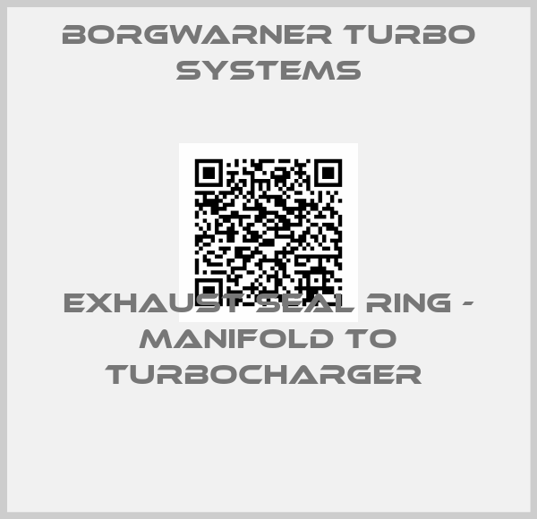 Borgwarner turbo systems-Exhaust Seal Ring - Manifold to Turbocharger 