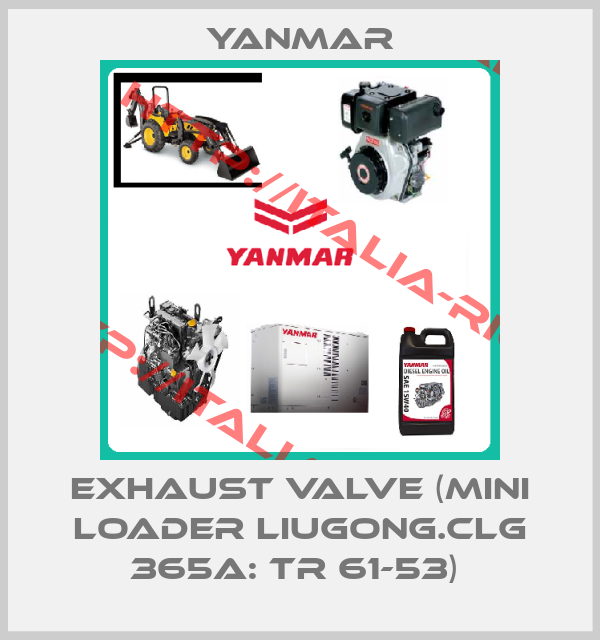 Yanmar-EXHAUST VALVE (MINI LOADER LIUGONG.CLG 365A: TR 61-53) 