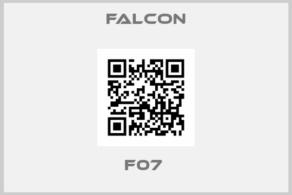 Falcon-F07 