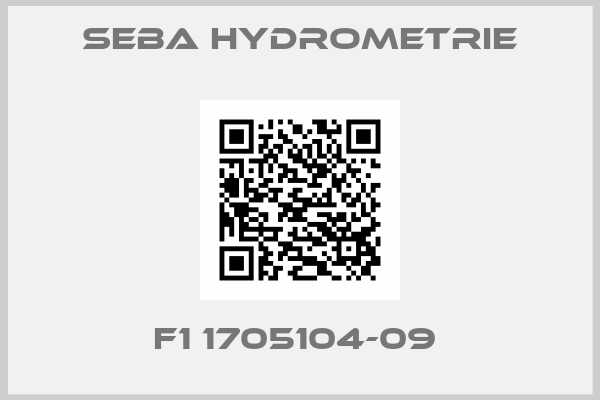 Seba Hydrometrie-F1 1705104-09 