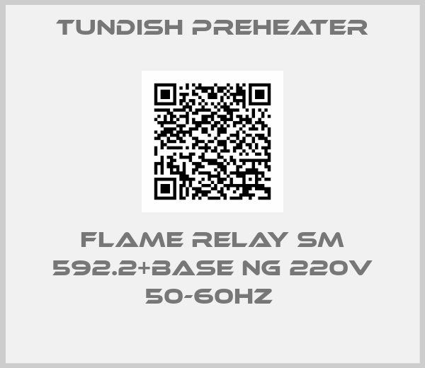 Tundish Preheater-FLAME RELAY SM 592.2+BASE NG 220V 50-60HZ 
