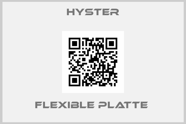 Hyster-FLEXIBLE PLATTE 