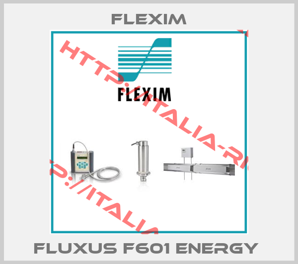Flexim-FLUXUS F601 ENERGY 