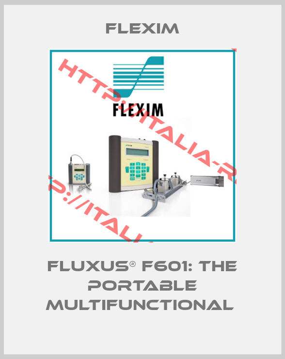 Flexim-FLUXUS® F601: THE PORTABLE MULTIFUNCTIONAL 