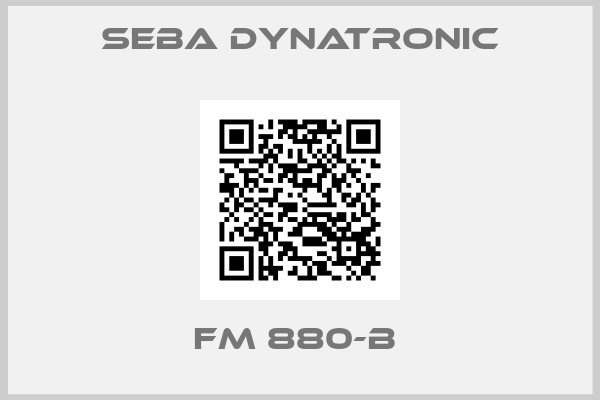 Seba Dynatronic-FM 880-B 