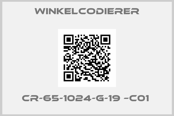 WINKELCODIERER-CR-65-1024-G-19 –C01 