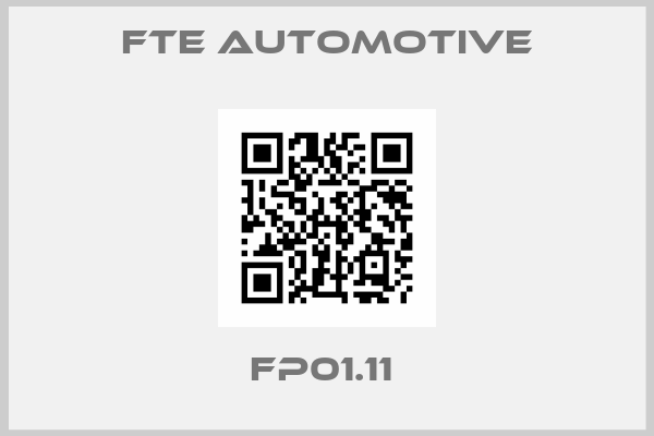 FTE Automotive-FP01.11 