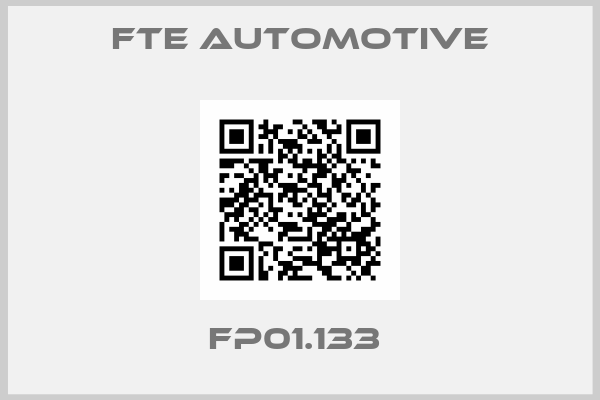 FTE Automotive-FP01.133 