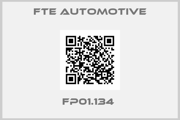 FTE Automotive-FP01.134 