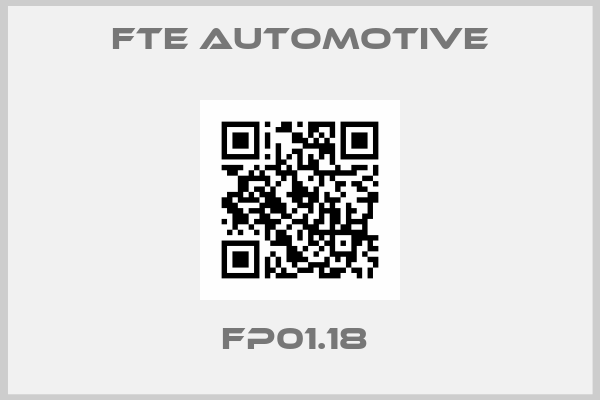 FTE Automotive-FP01.18 