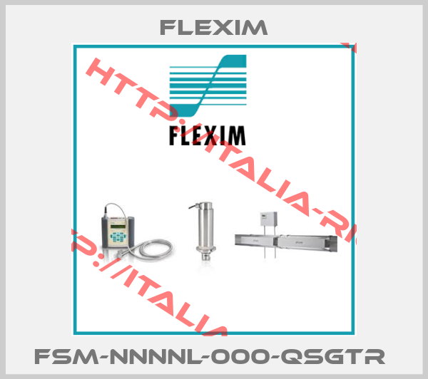 Flexim-FSM-NNNNL-000-QSGTR 