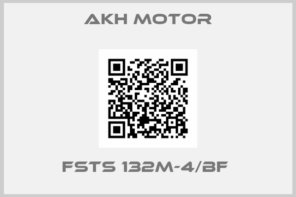 AKH Motor-FSTS 132M-4/BF 