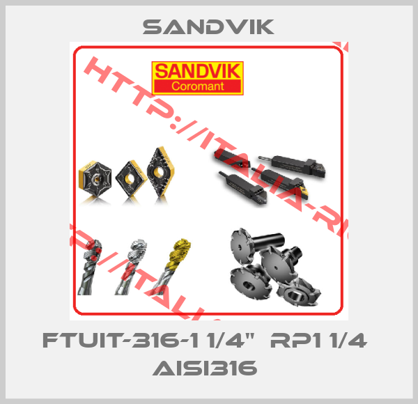 Sandvik-FTUIT-316-1 1/4"  RP1 1/4  AISI316 