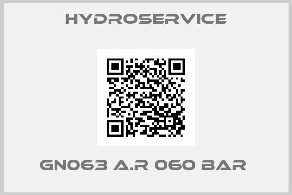 Hydroservice-GN063 A.R 060 BAR 