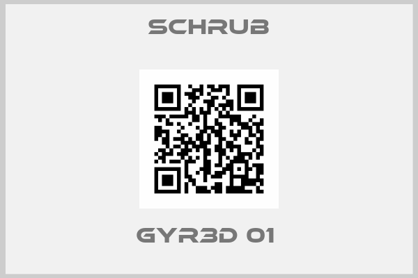 Schrub-GYR3D 01 