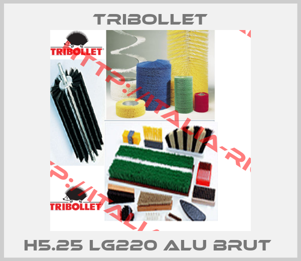 TRIBOLLET-H5.25 LG220 ALU BRUT 