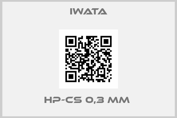 Iwata-HP-CS 0,3 MM 