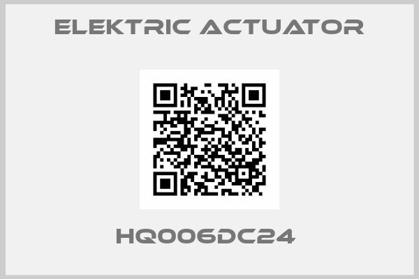 ELEKTRIC ACTUATOR-HQ006DC24 