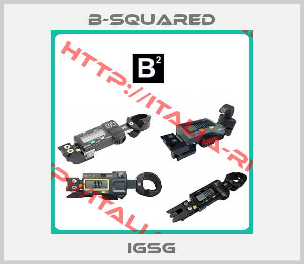 B-Squared-IGSG