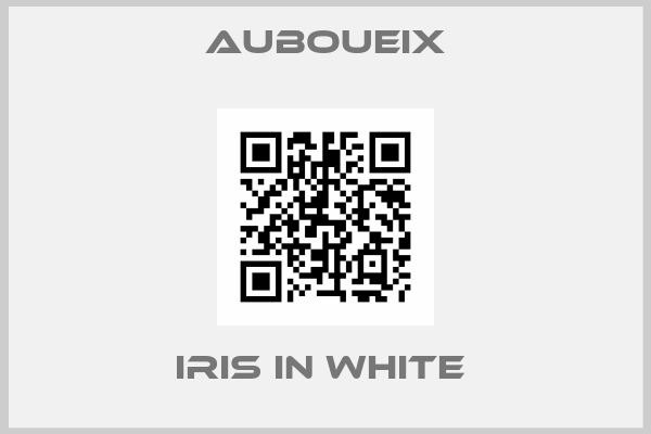 Auboueix-IRIS IN WHITE 