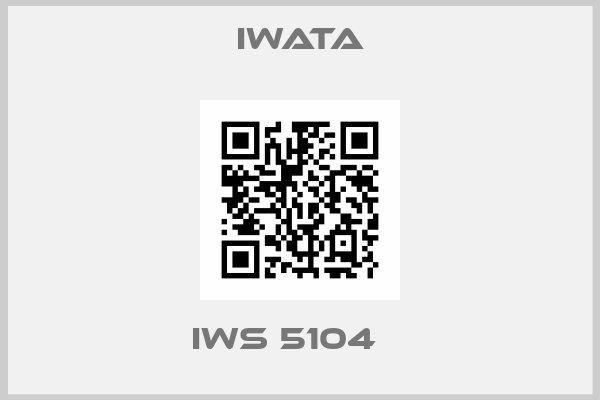 Iwata-IWS 5104   