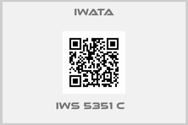Iwata-IWS 5351 C  