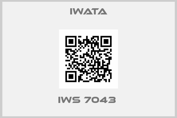 Iwata-IWS 7043 