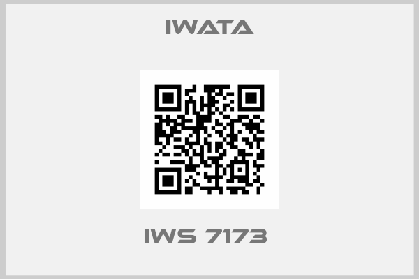 Iwata-IWS 7173 