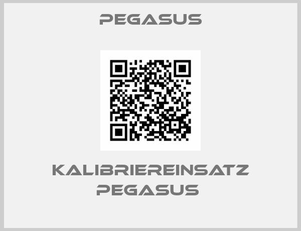Pegasus-Kalibriereinsatz Pegasus 