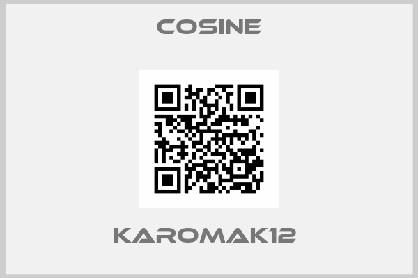 Cosine-KAROMAK12 