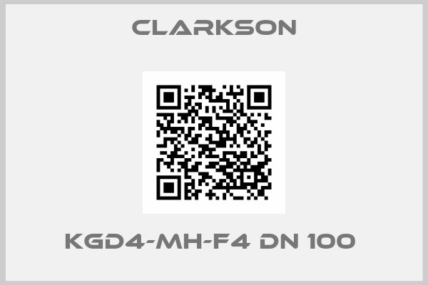 Clarkson-KGD4-MH-F4 DN 100 