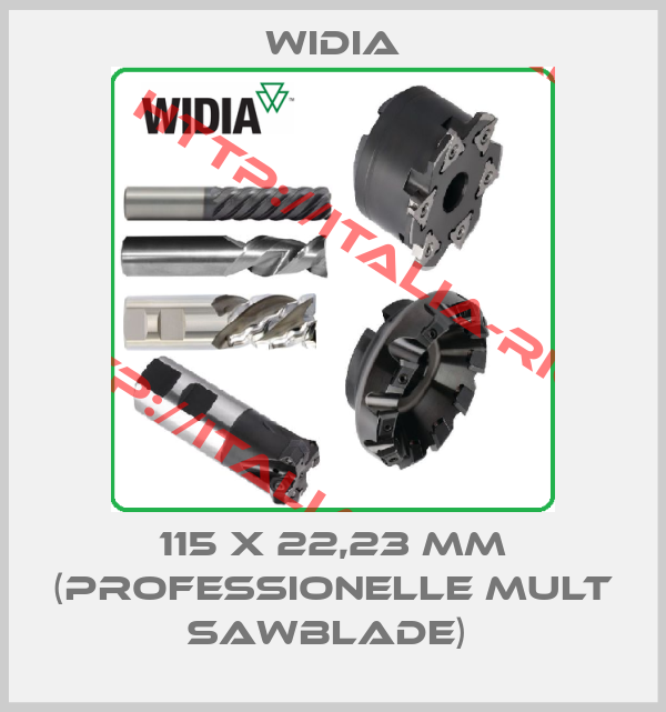 Widia-115 X 22,23 MM (PROFESSIONELLE MULT SAWBLADE) 