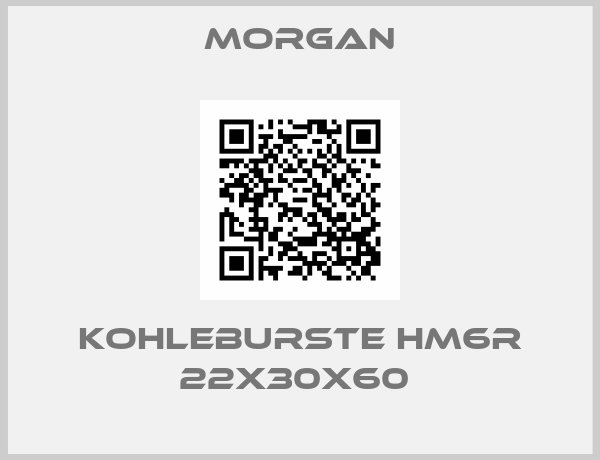 Morgan-KOHLEBURSTE HM6R 22X30X60 